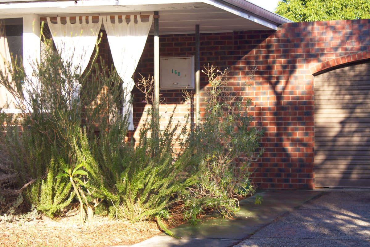 158 Nollamara Avenue, Nollamara WA 6061, Nollamara - Thumbnail 2