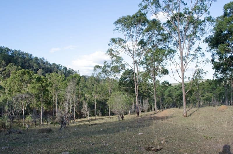 Lot 89 UNdullah Road, LYONS QLD 4124, Lyons - Thumbnail 2