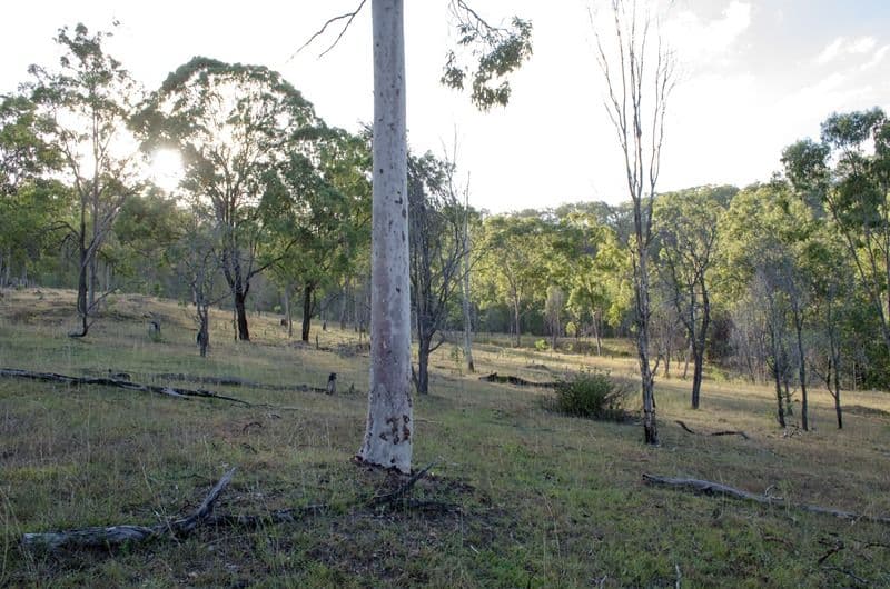 Lot 89 UNdullah Road, LYONS QLD 4124, Lyons - Thumbnail 3