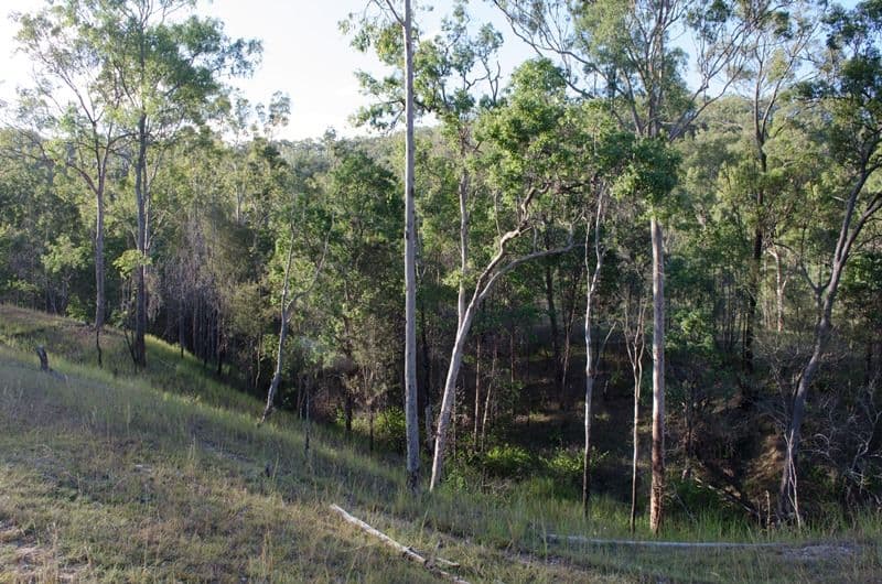 Lot 89 UNdullah Road, LYONS QLD 4124, Lyons - Thumbnail 5