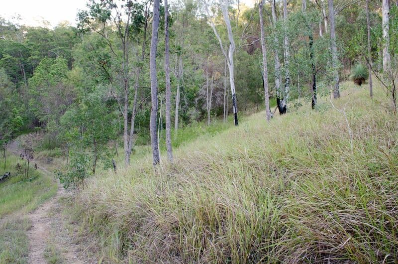 Lot 89 UNdullah Road, LYONS QLD 4124, Lyons - Thumbnail 8
