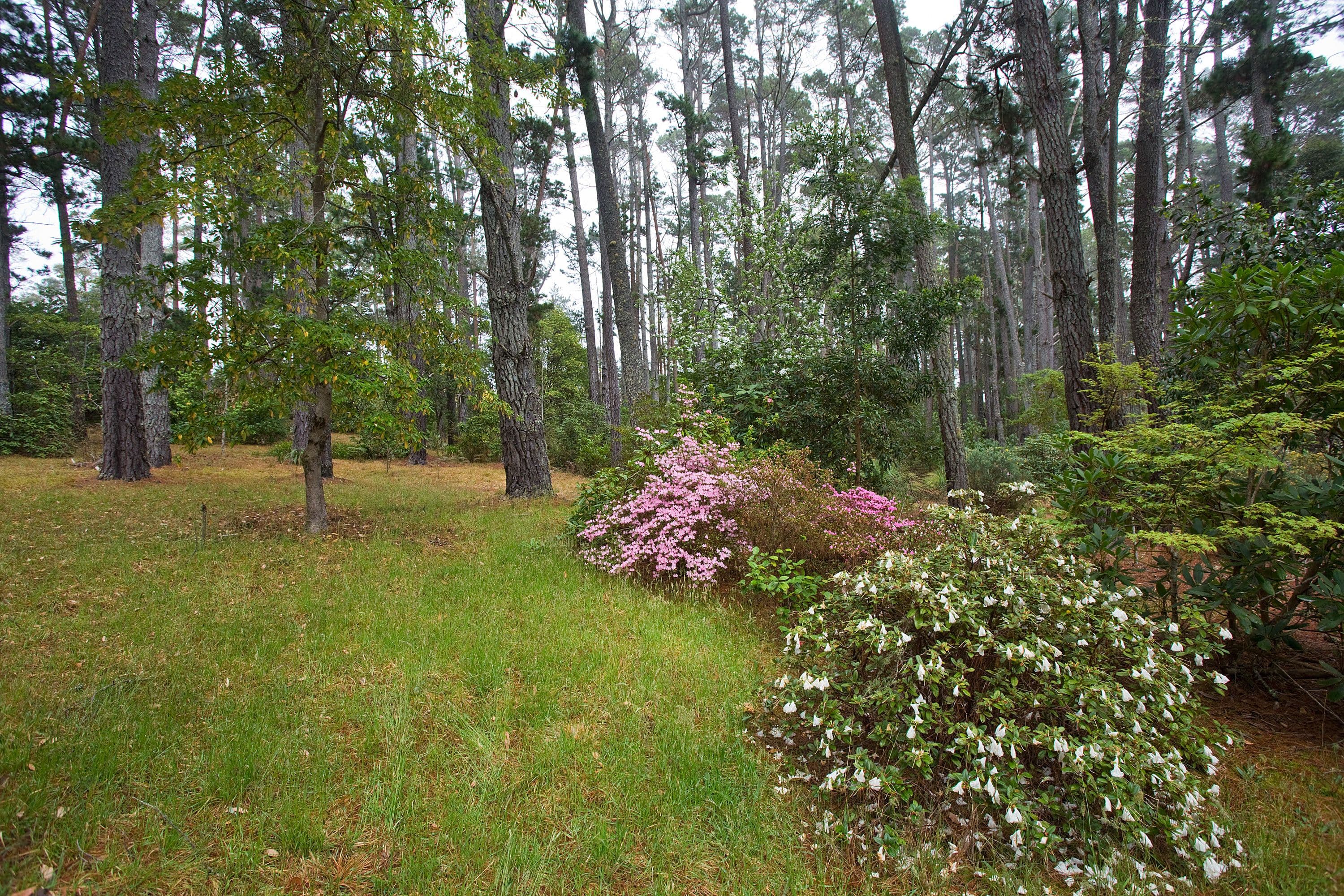 Lot 10 256 Main Road, McLaren Vale - Thumbnail 4
