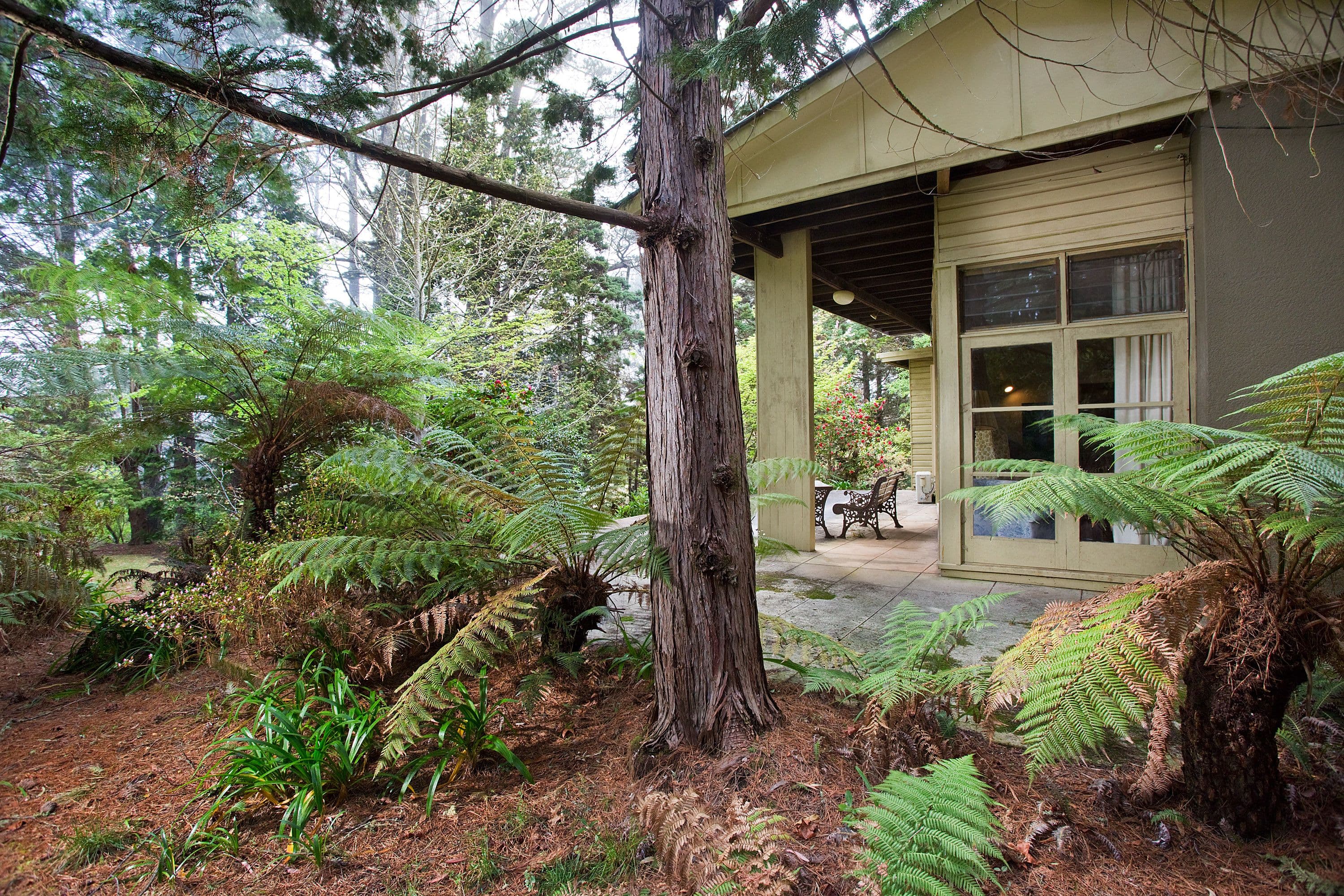 Lot 10 256 Main Road, McLaren Vale - Thumbnail 6