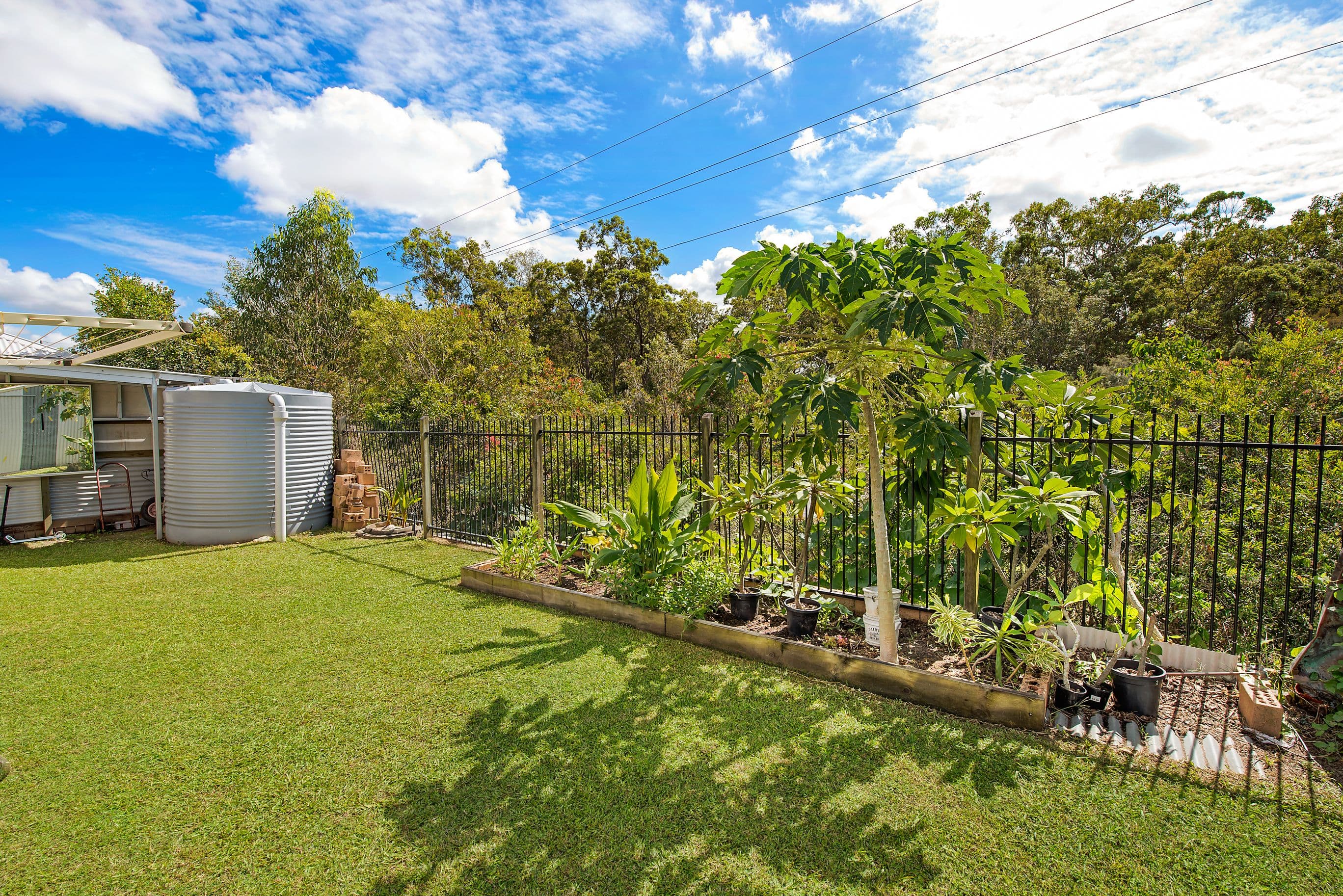 43 Chestwood Crescent, Sippy Downs QLD 4556, Sippy Downs - Thumbnail 3