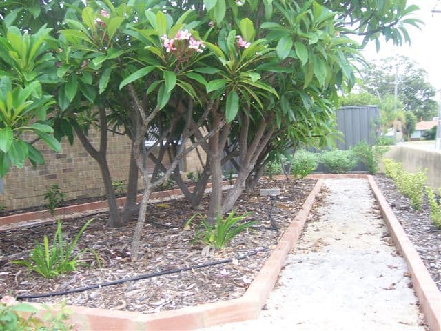 2 Coachwood Way, MADDINGTON WA 6109, Maddington - Thumbnail 4