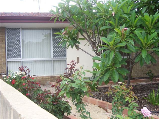 2 Coachwood Way, MADDINGTON WA 6109, Maddington - Thumbnail 5