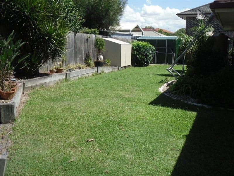 13 Patersonia Place, BIRKDALE QLD 4159, Birkdale - Thumbnail 8