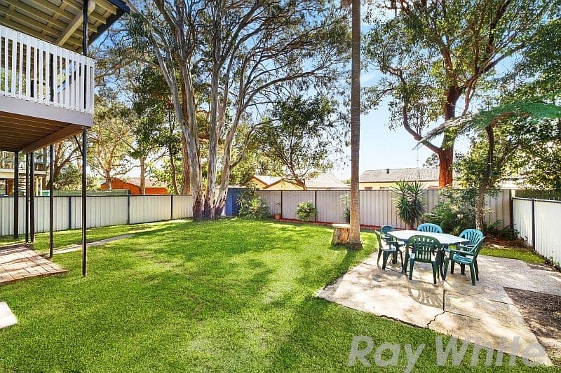 43 Scenic Drive, Budgewoi - Thumbnail 4