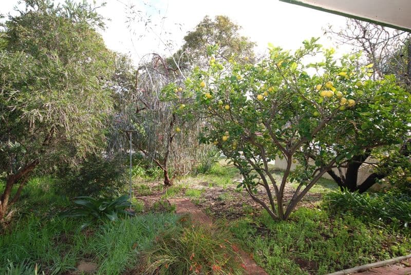 30 Farmer  Way, PARMELIA WA 6167, Parmelia - Thumbnail 6