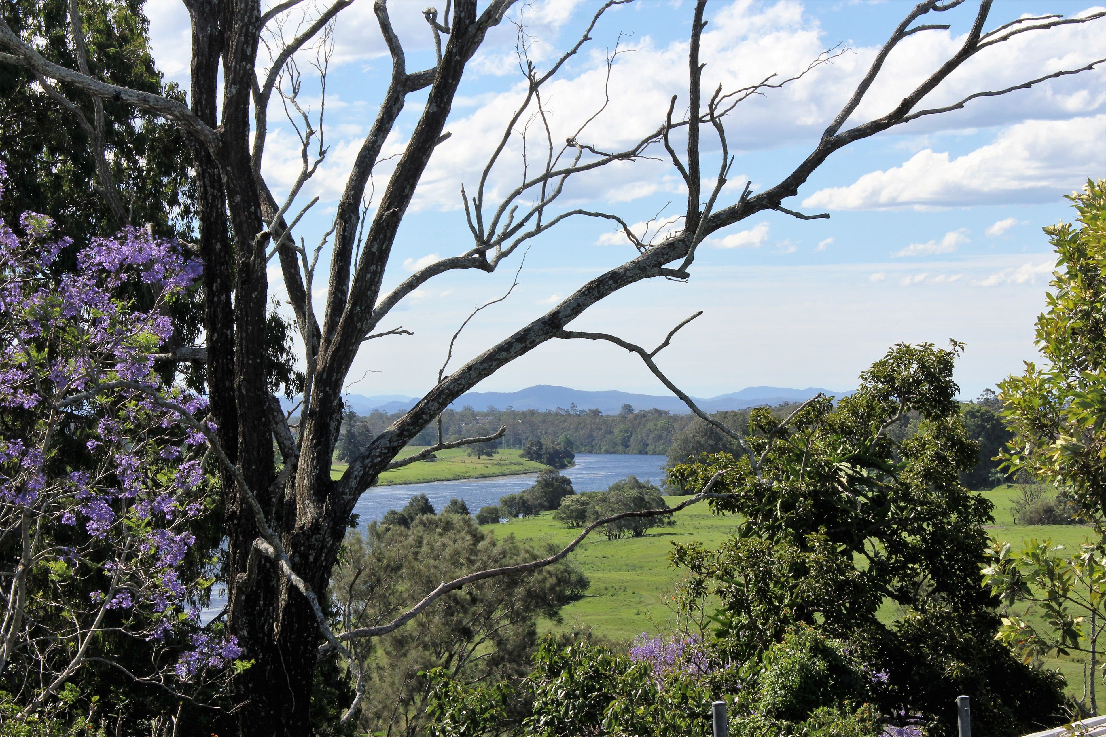 4 Albert Street, South Kempsey - Thumbnail 7