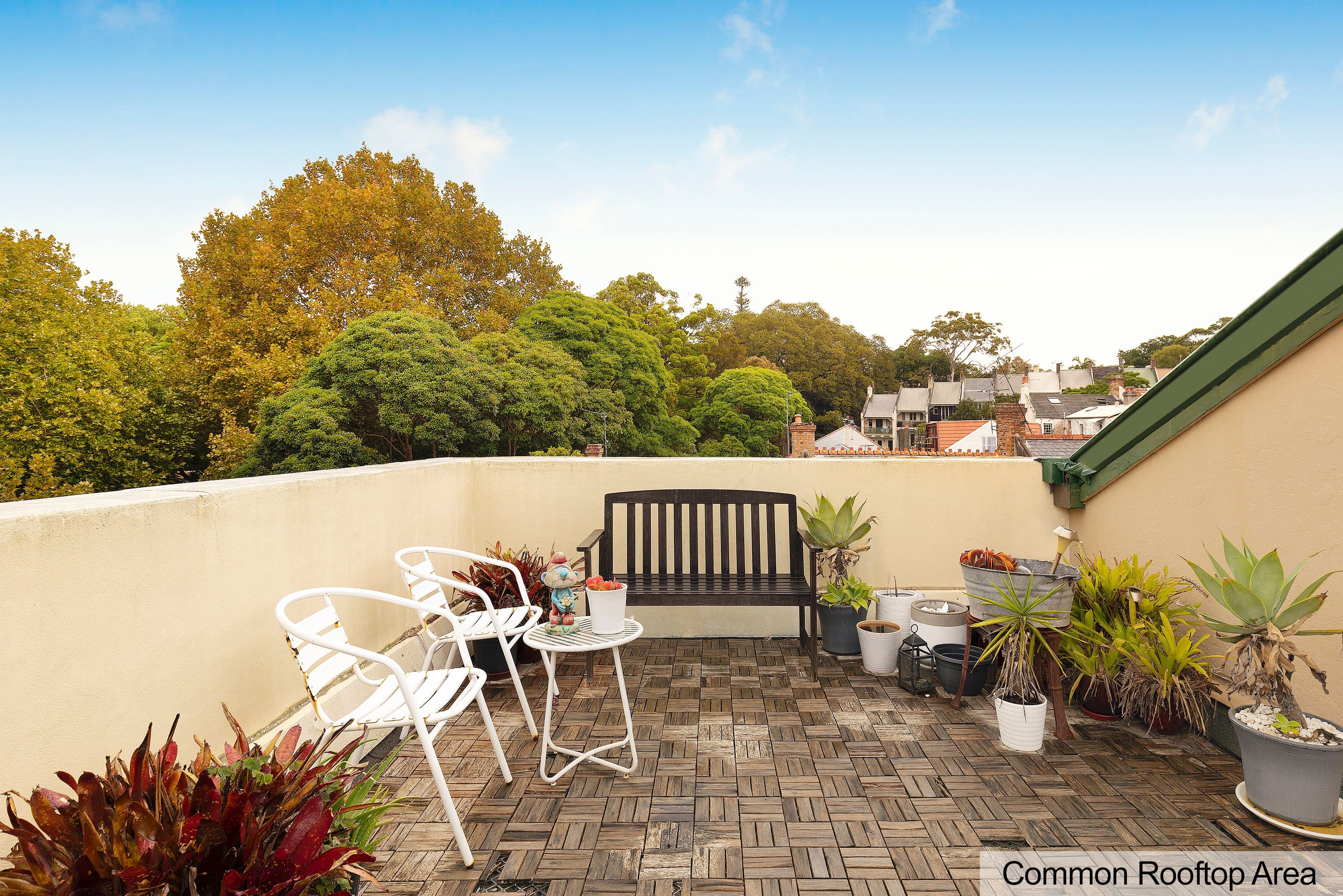 3 Gosbell Street, Paddington NSW 2021, Paddington - Thumbnail 6