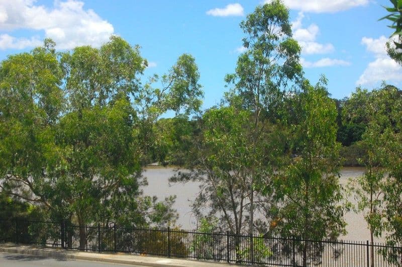 435 Coronation Drive, AUCHENFLOWER QLD 4066, Auchenflower - Thumbnail 3