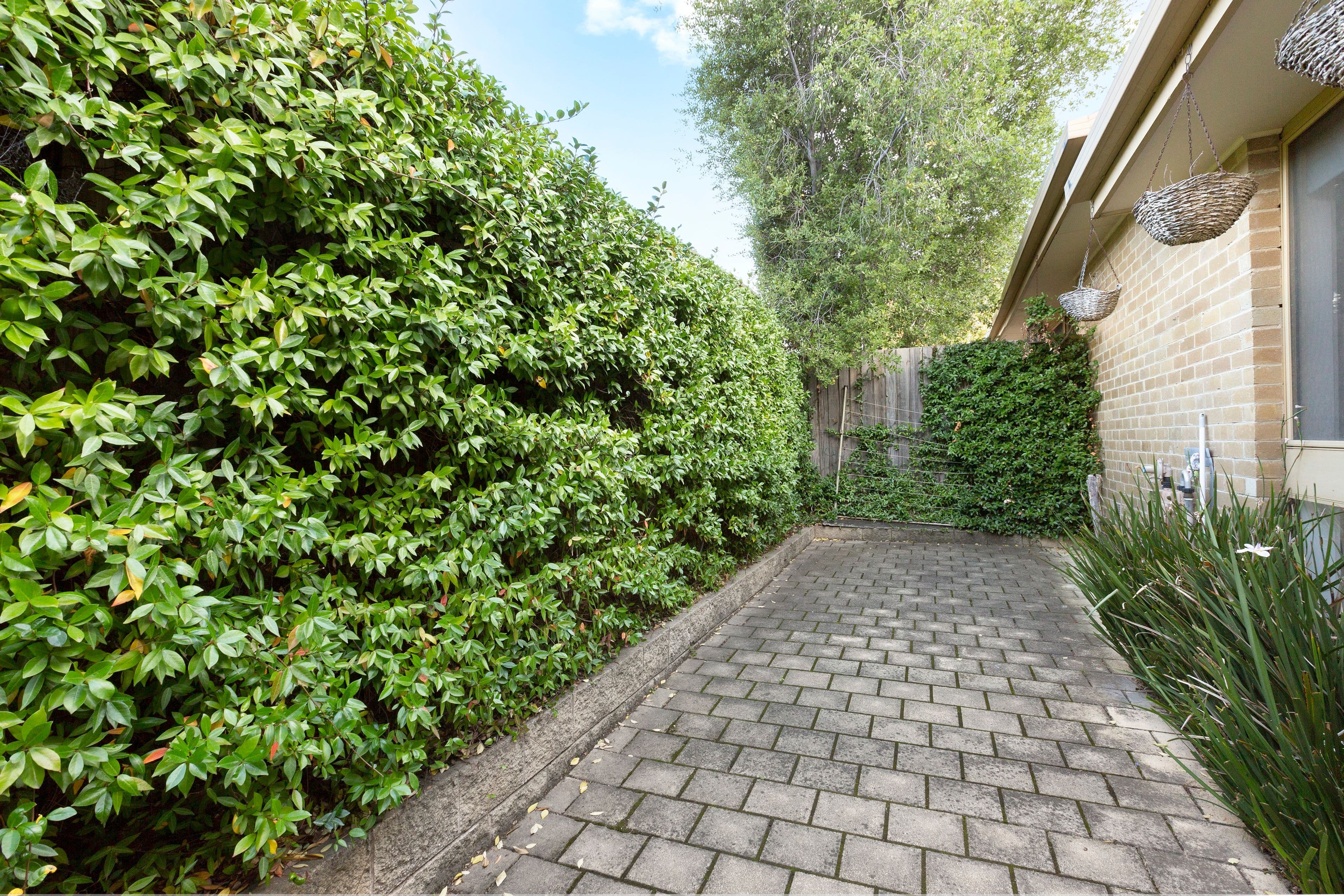 19 Ashley Street, Box Hill North VIC 3129, Box Hill North - Thumbnail 4