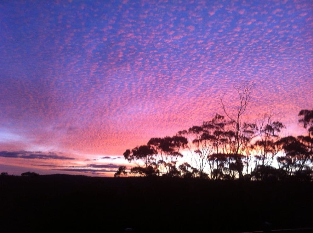 333 Chifley Road, Dargan NSW 2786, Dargan - Thumbnail 7
