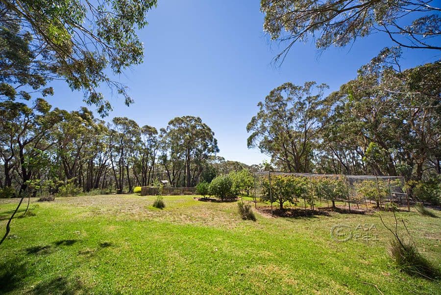 333 Chifley Road, Dargan NSW 2786, Dargan - Thumbnail 8