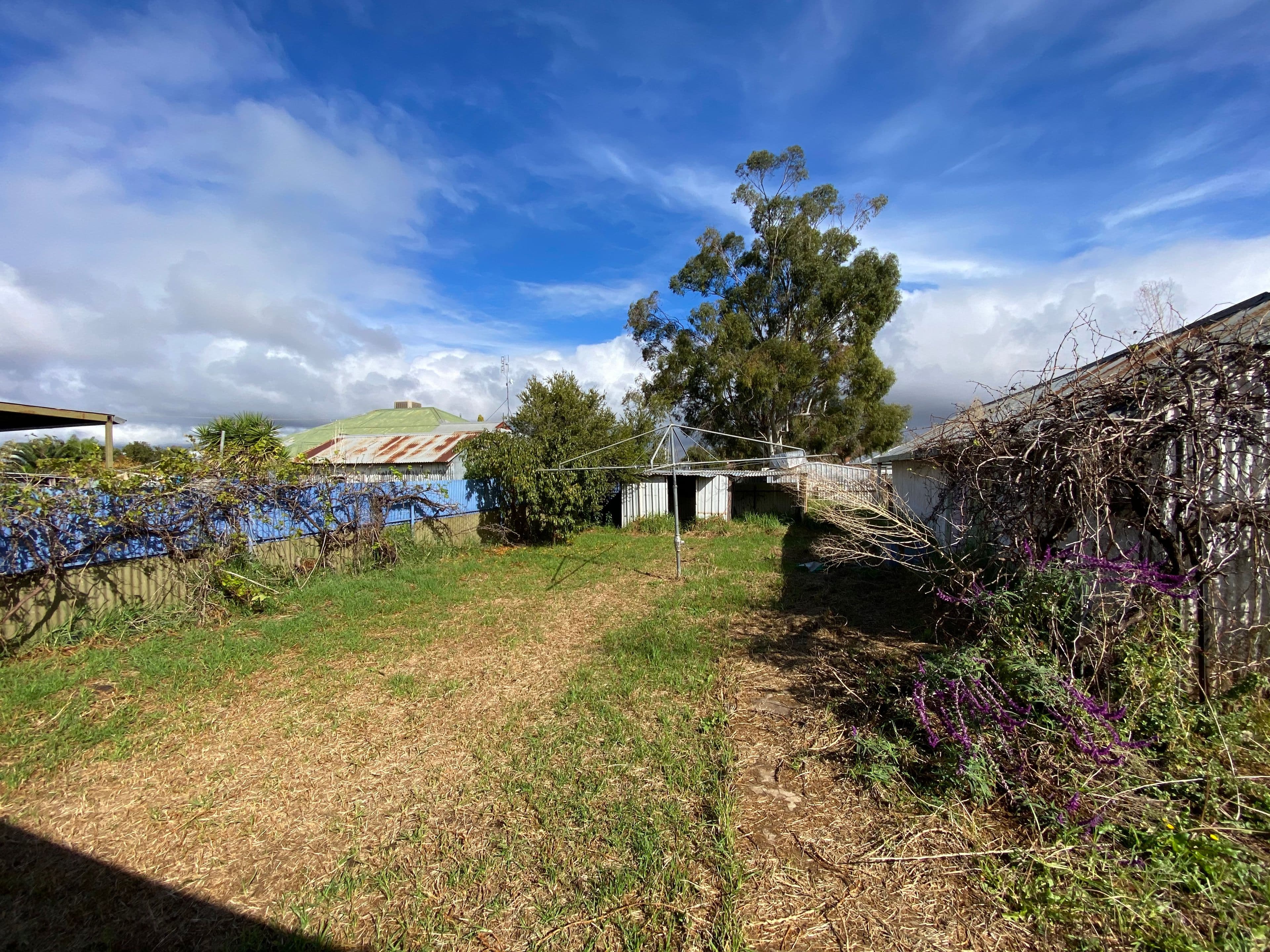 36 Grenfell Street, Forbes NSW 2871, Forbes - Thumbnail 7