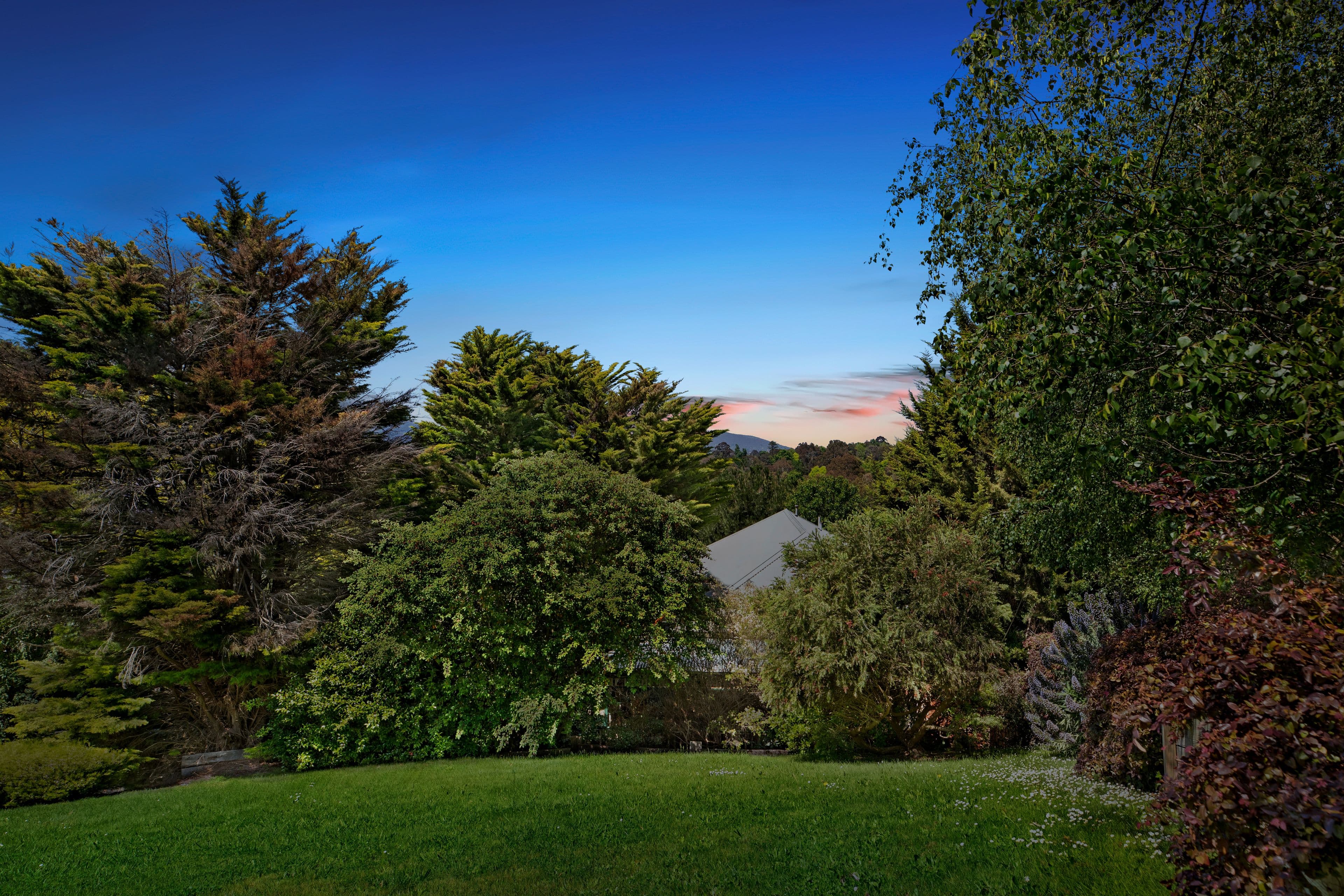 22 Baringa Road, Croydon North VIC 3136, Croydon North - Thumbnail 6