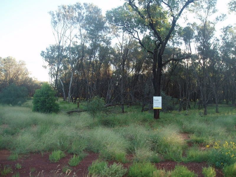 10 Murweh Drive, CHARLEVILLE QLD 4470, Charleville - Image 1
