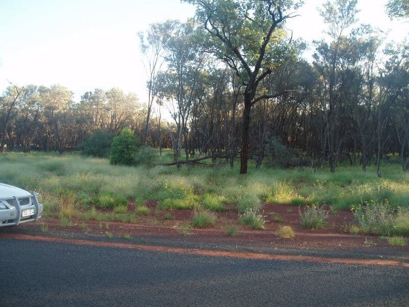 10 Murweh Drive, CHARLEVILLE QLD 4470, Charleville - Thumbnail 2