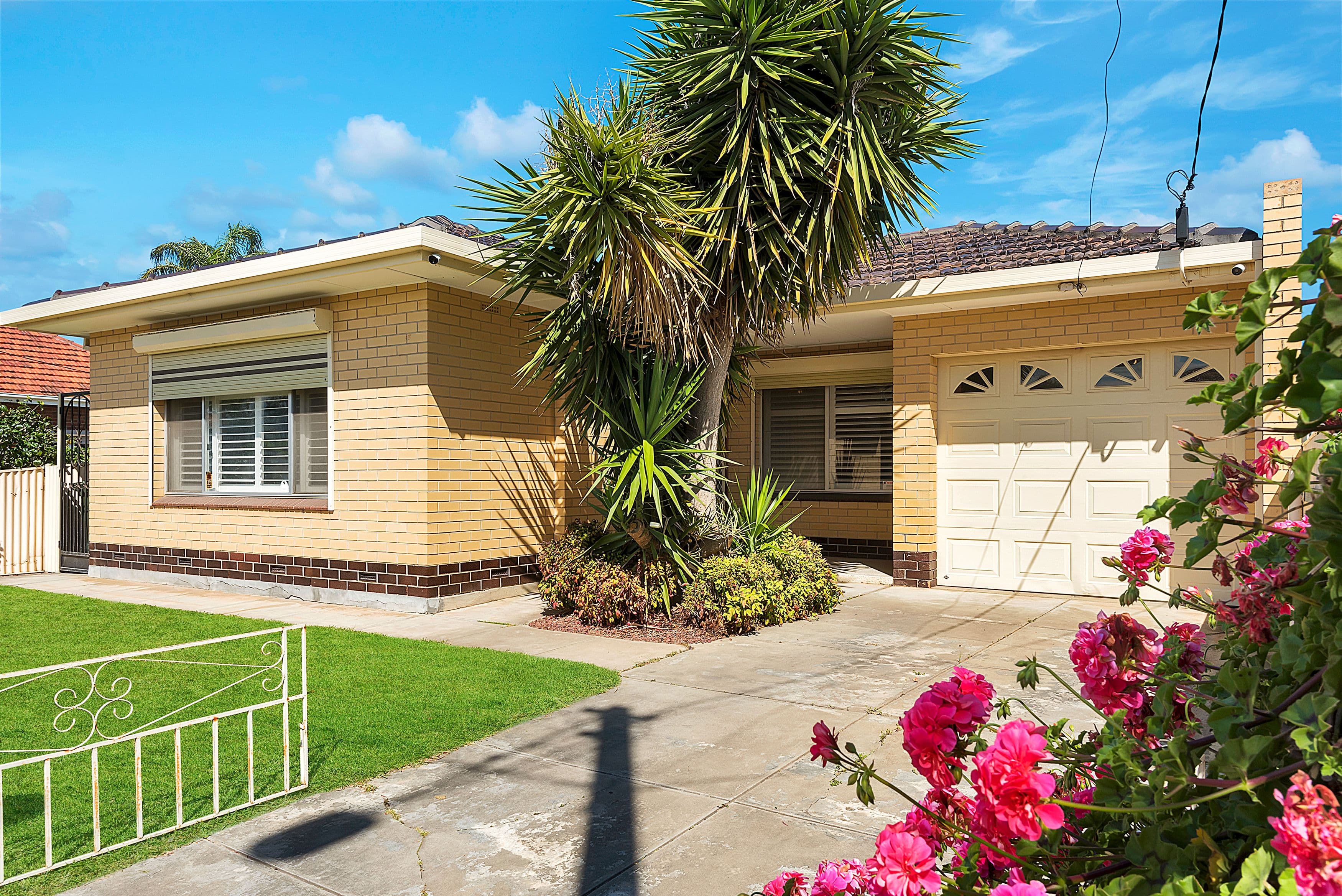 104 Palm Avenue, Royal Park SA 5014, Royal Park - Image 1
