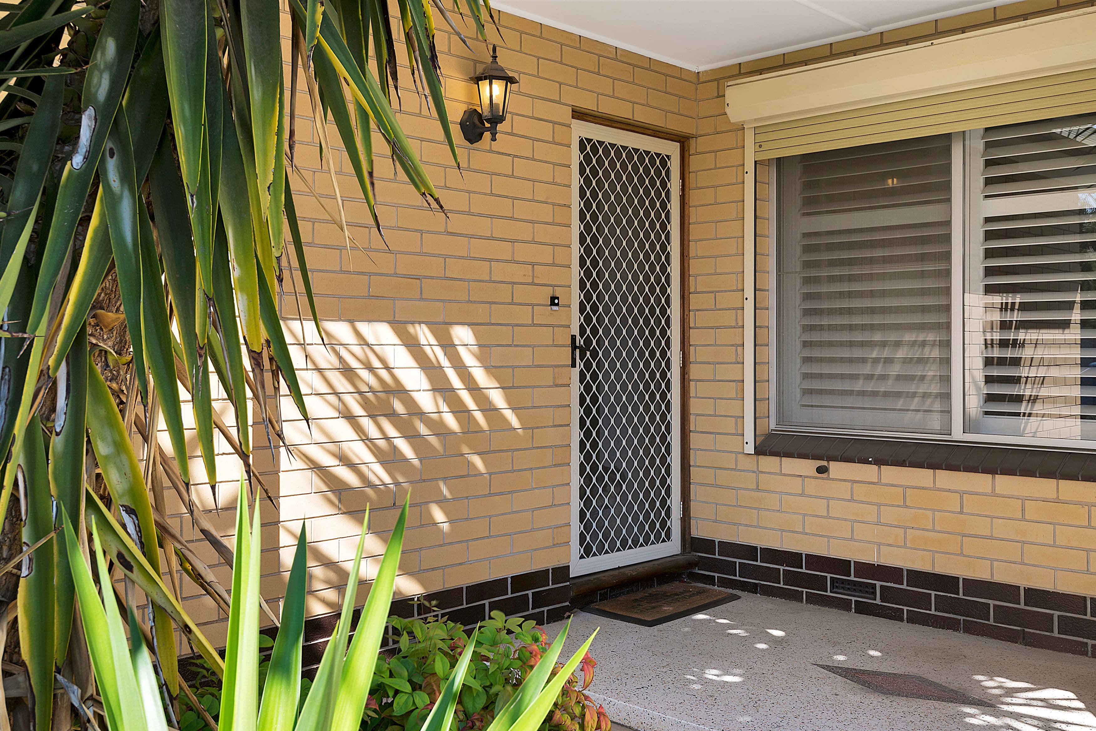 104 Palm Avenue, Royal Park SA 5014, Royal Park - Thumbnail 2