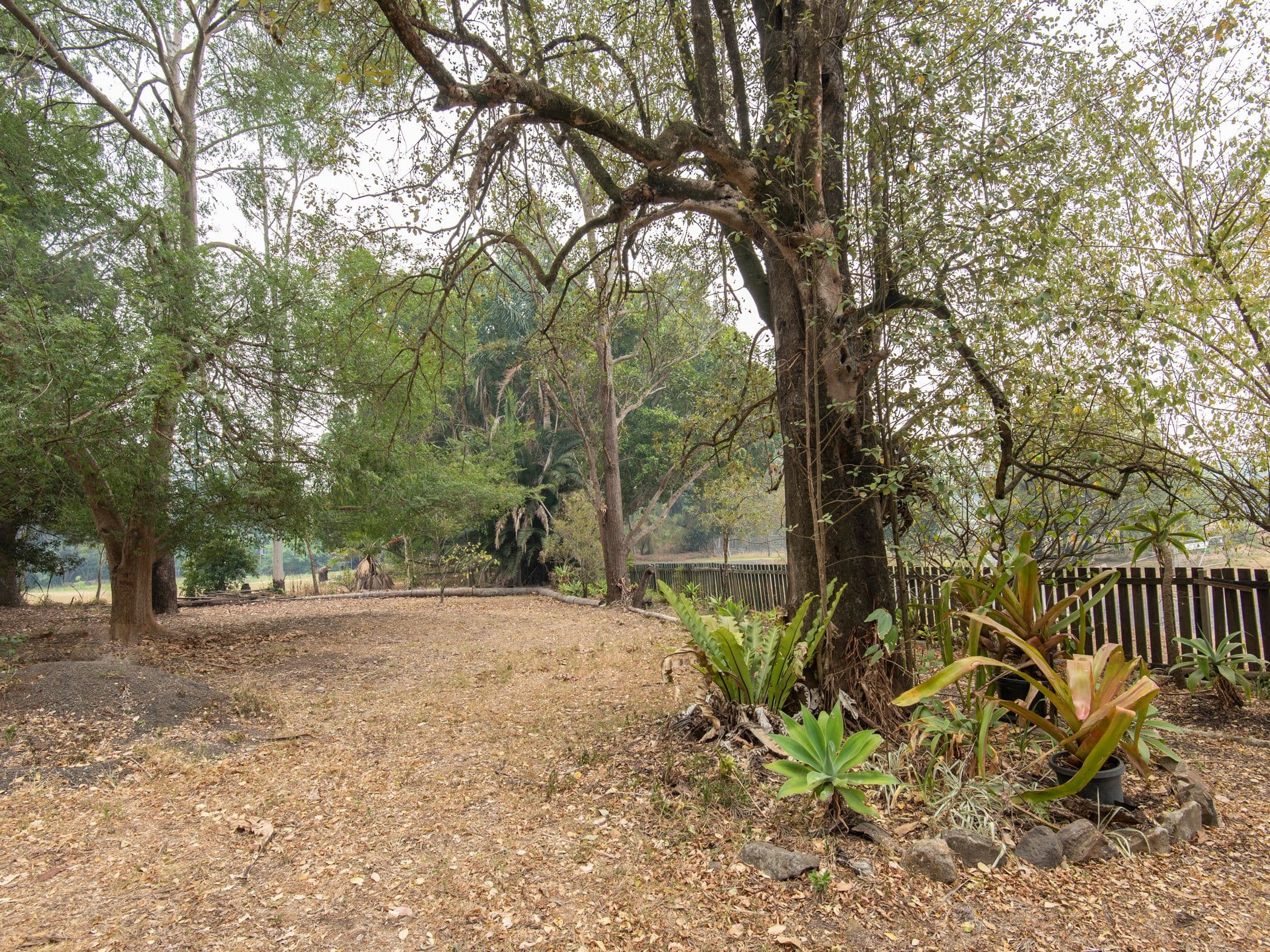 15 Ostrom Street, South Lismore - Thumbnail 4
