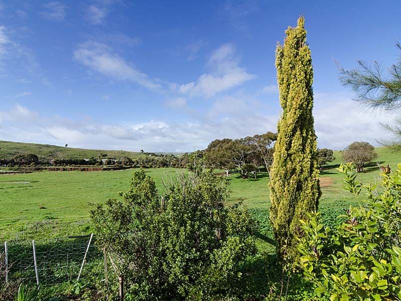 5 Fountain Street, KANMANTOO SA 5252, Kanmantoo - Thumbnail 8