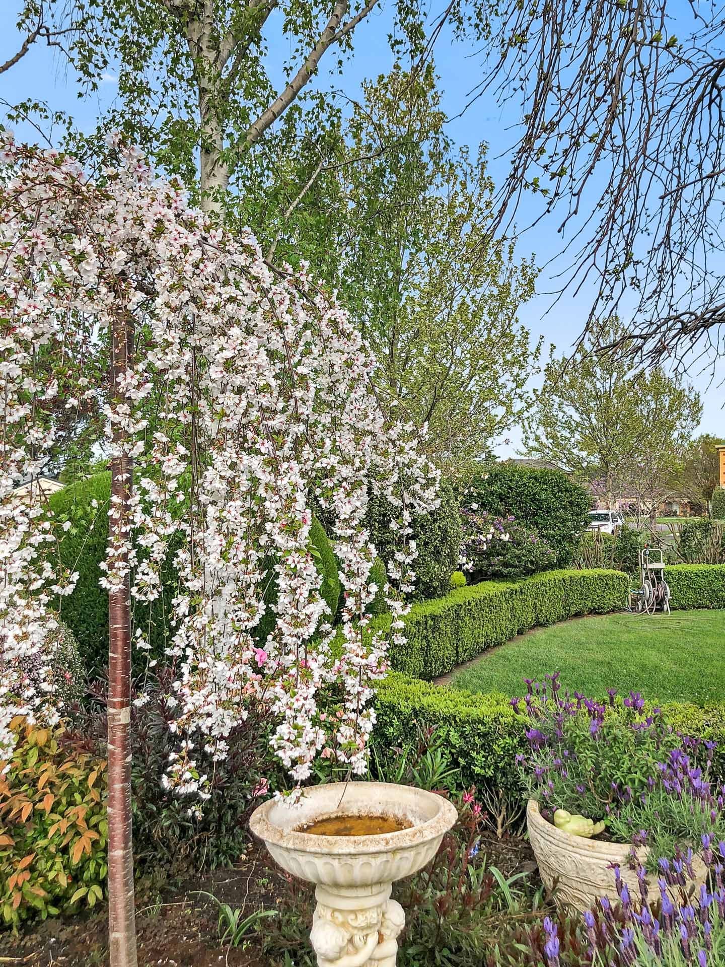 2 Vista Court, Berwick VIC 3806, Berwick - Thumbnail 4