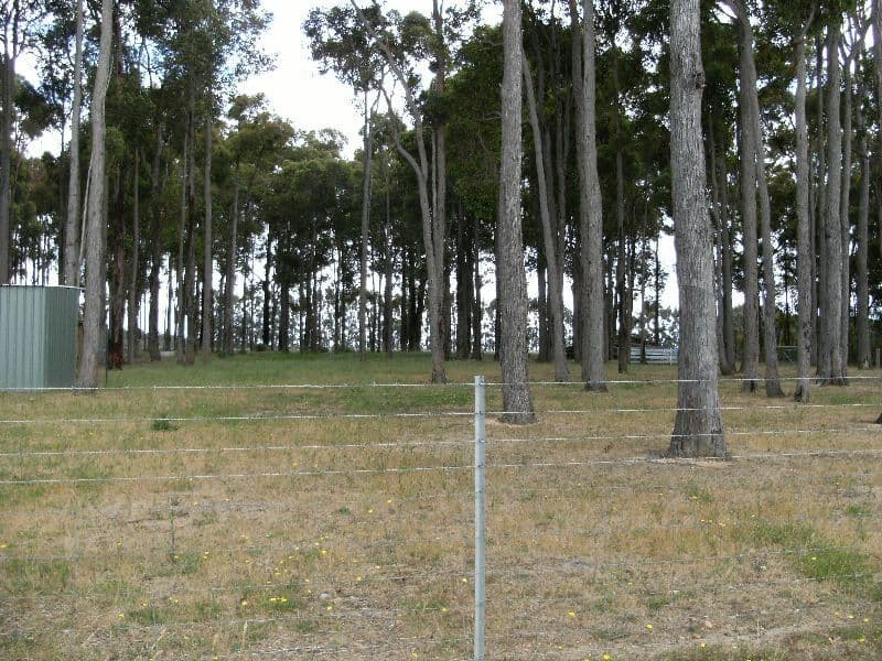 71 William Court, PALGARUP WA 6258, Palgarup - Thumbnail 3