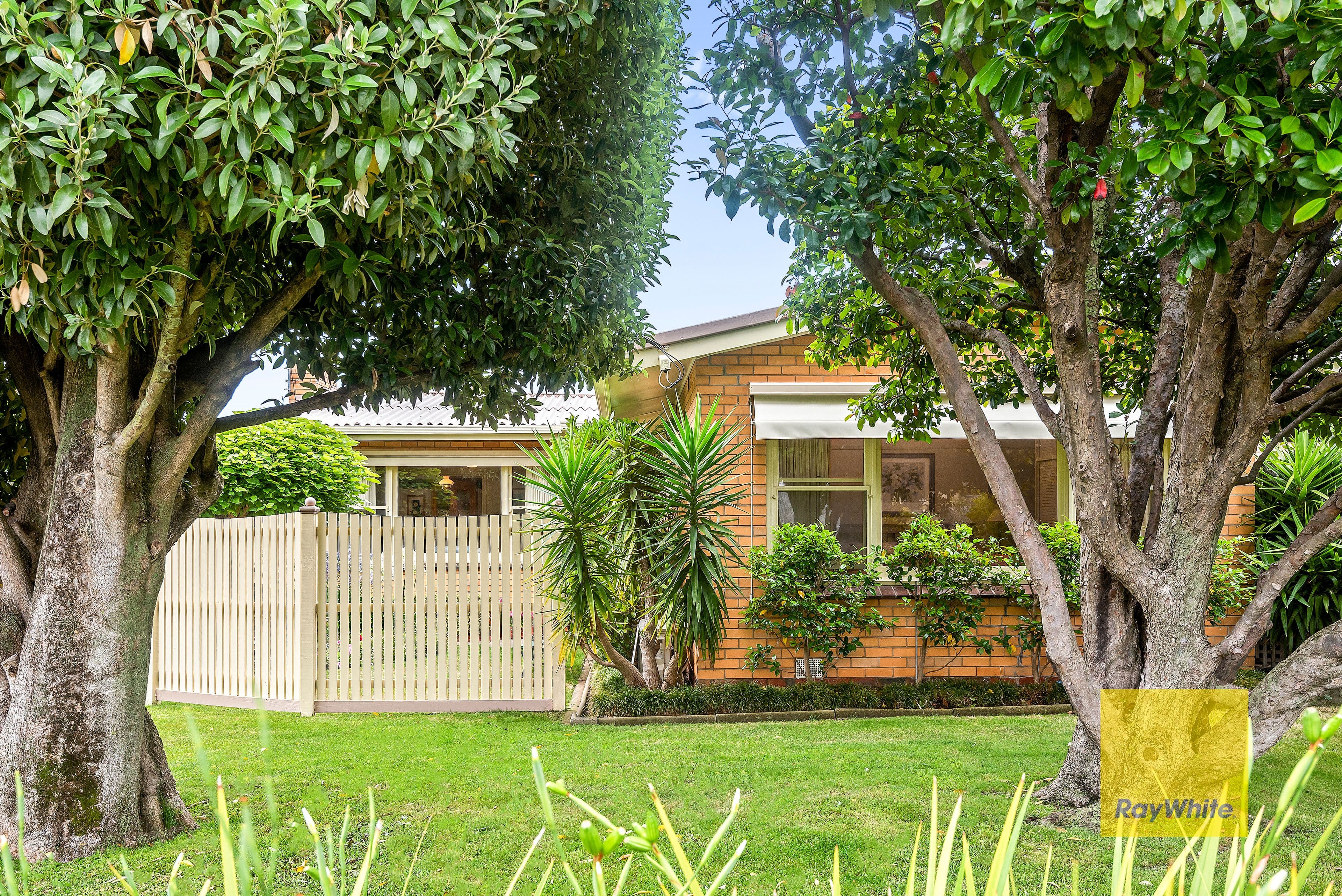 7 Cuthbert Avenue, Highton VIC 3216, Highton - Image 1