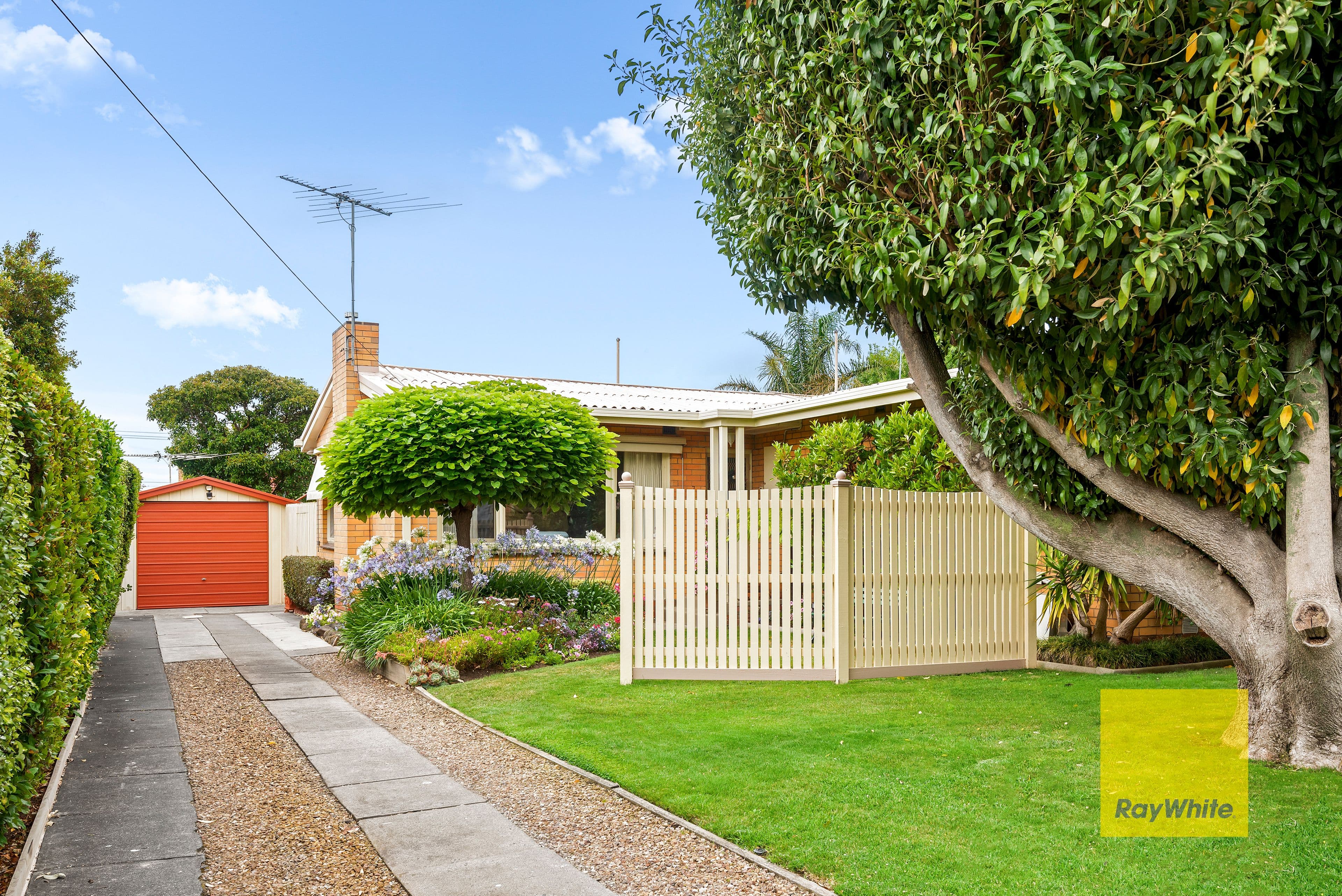 7 Cuthbert Avenue, Highton VIC 3216, Highton - Thumbnail 2
