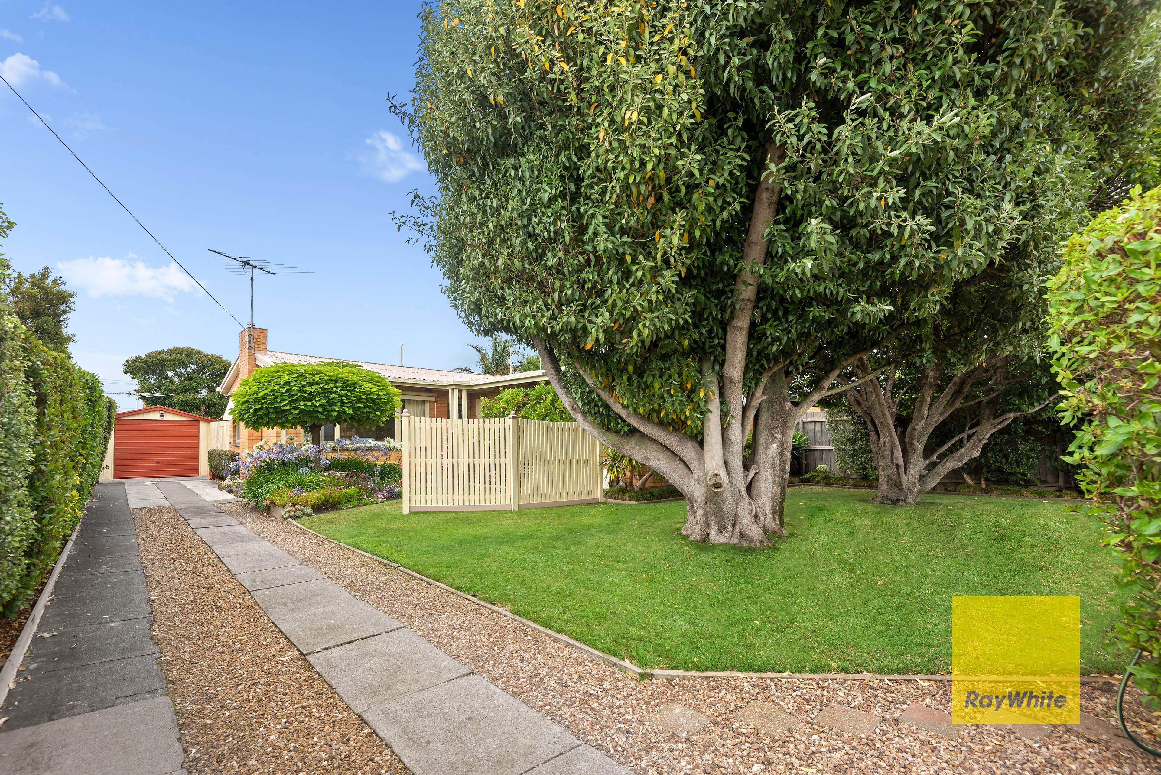 7 Cuthbert Avenue, Highton VIC 3216, Highton - Thumbnail 3