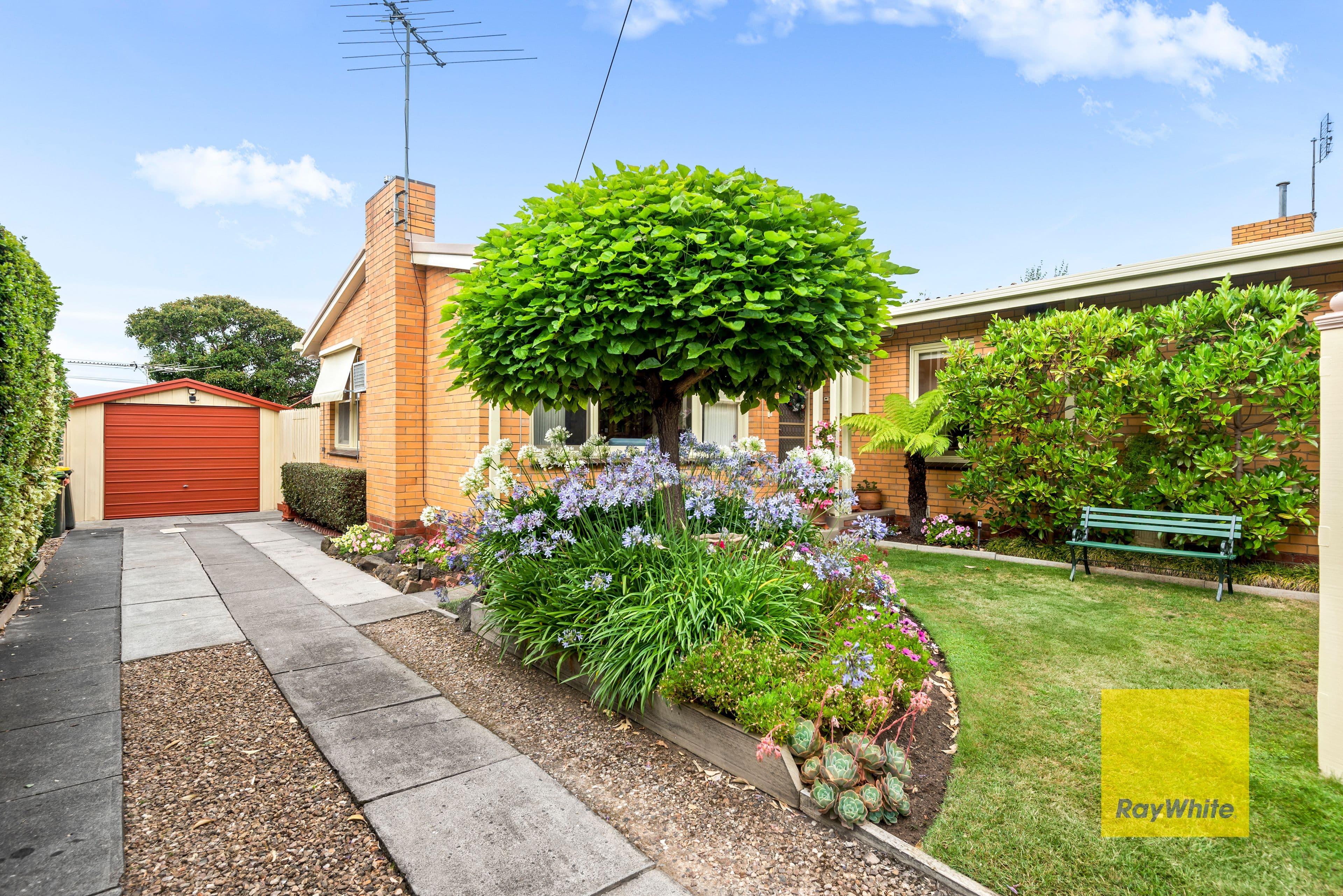 7 Cuthbert Avenue, Highton VIC 3216, Highton - Thumbnail 4