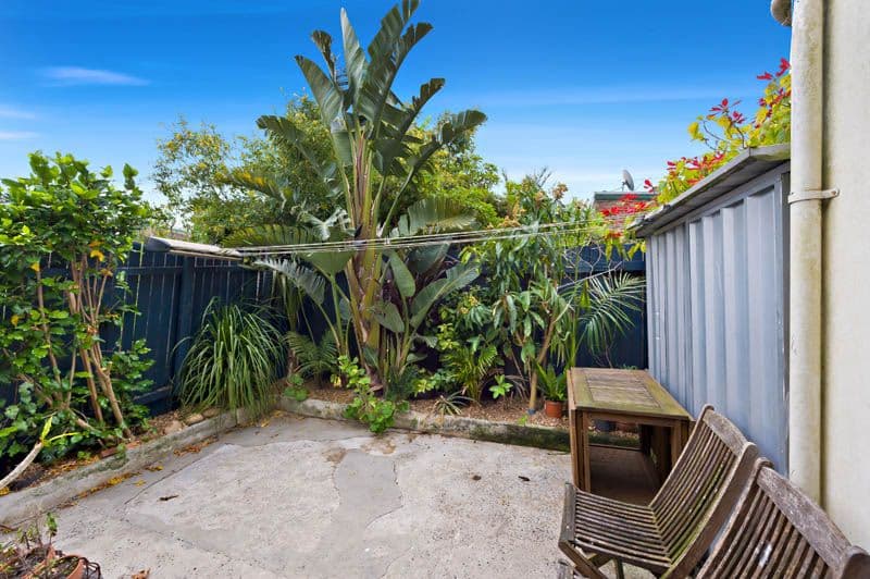 20 Jarvie Avenue, Petersham NSW 2049, Petersham - Thumbnail 6