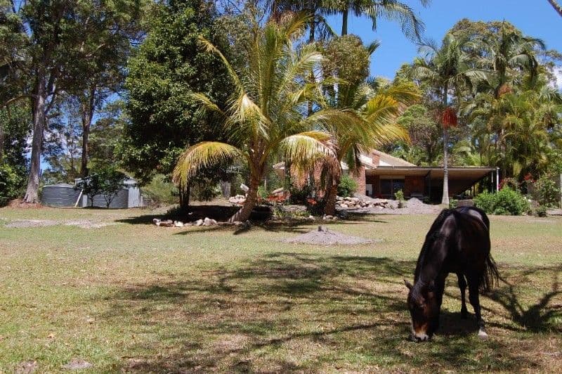 199 Beddington Road, DOONAN QLD 4562, Doonan - Thumbnail 4