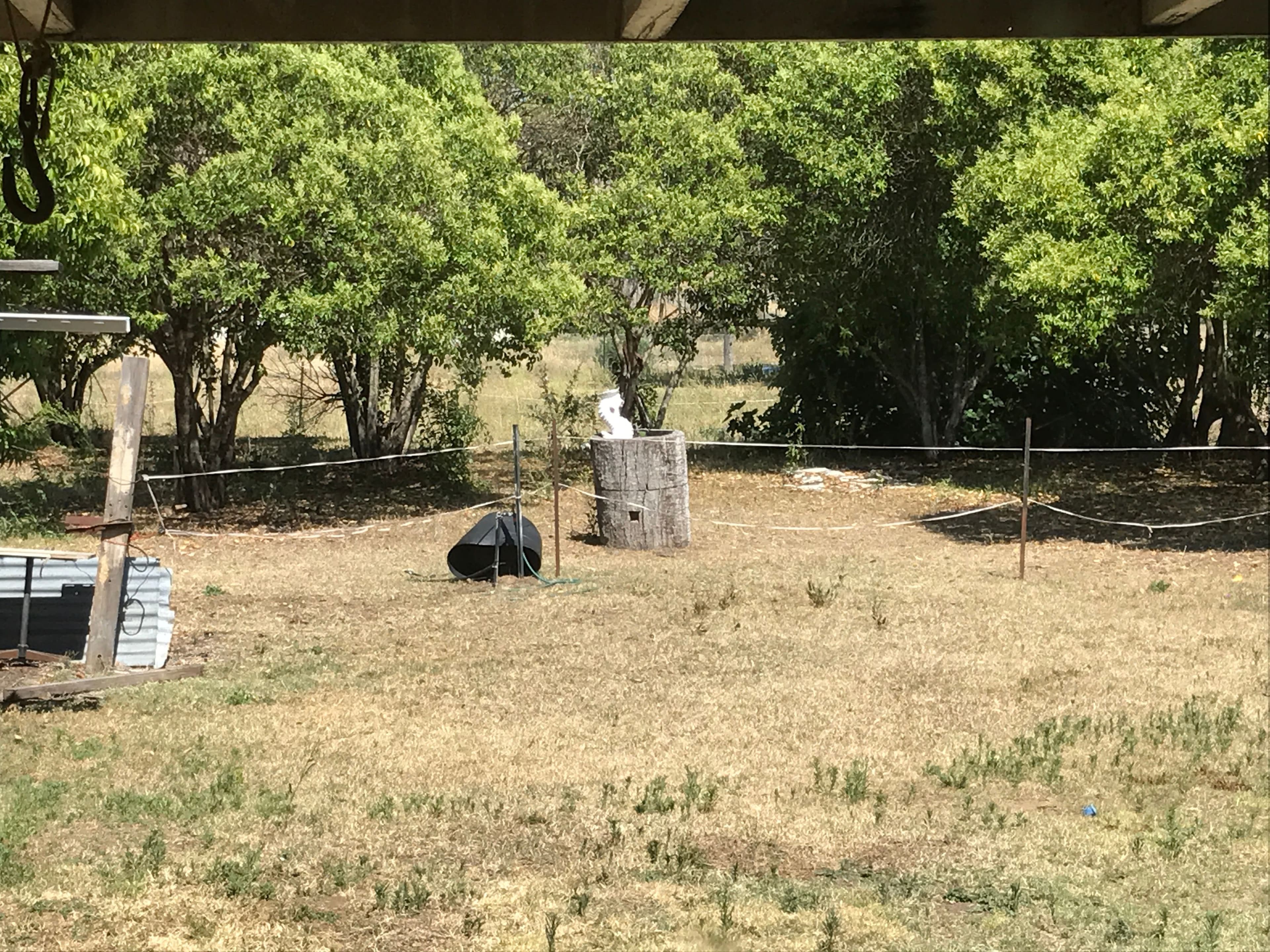18 Christie Street, Warialda - Thumbnail 4