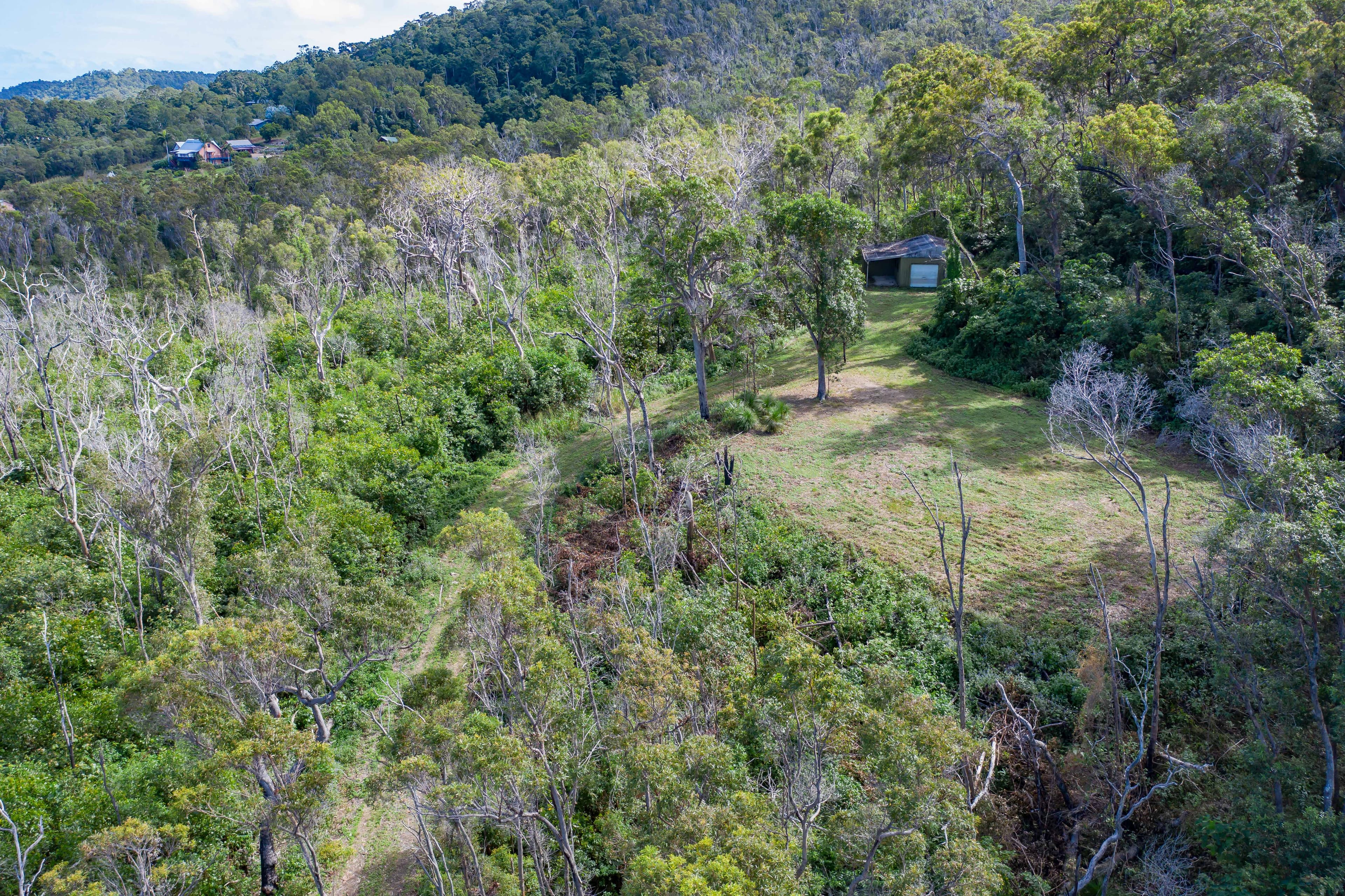 Lot 2 Allan Road, Conway QLD 4800, Conway - Thumbnail 3