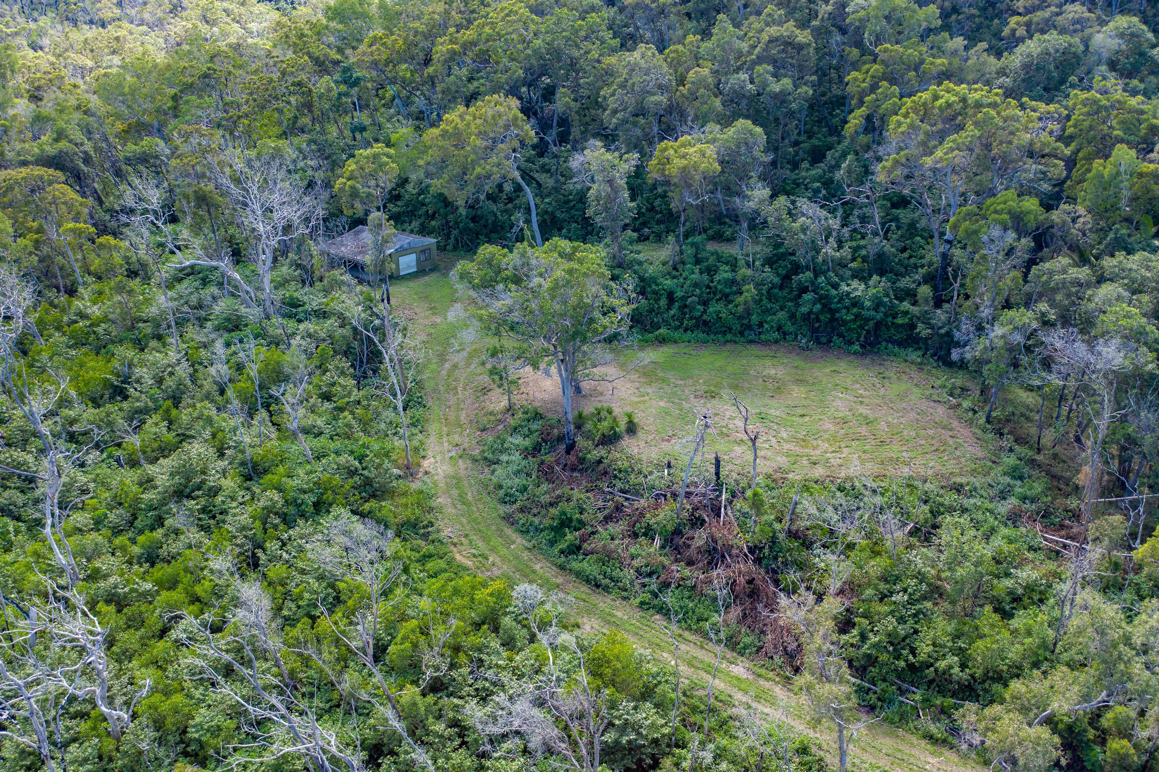 Lot 2 Allan Road, Conway QLD 4800, Conway - Thumbnail 4