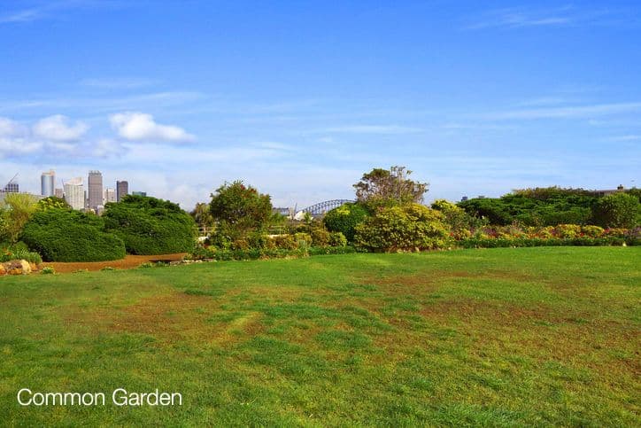 11 Thornton Street, DARLING POINT NSW 2027, Darling Point - Thumbnail 4