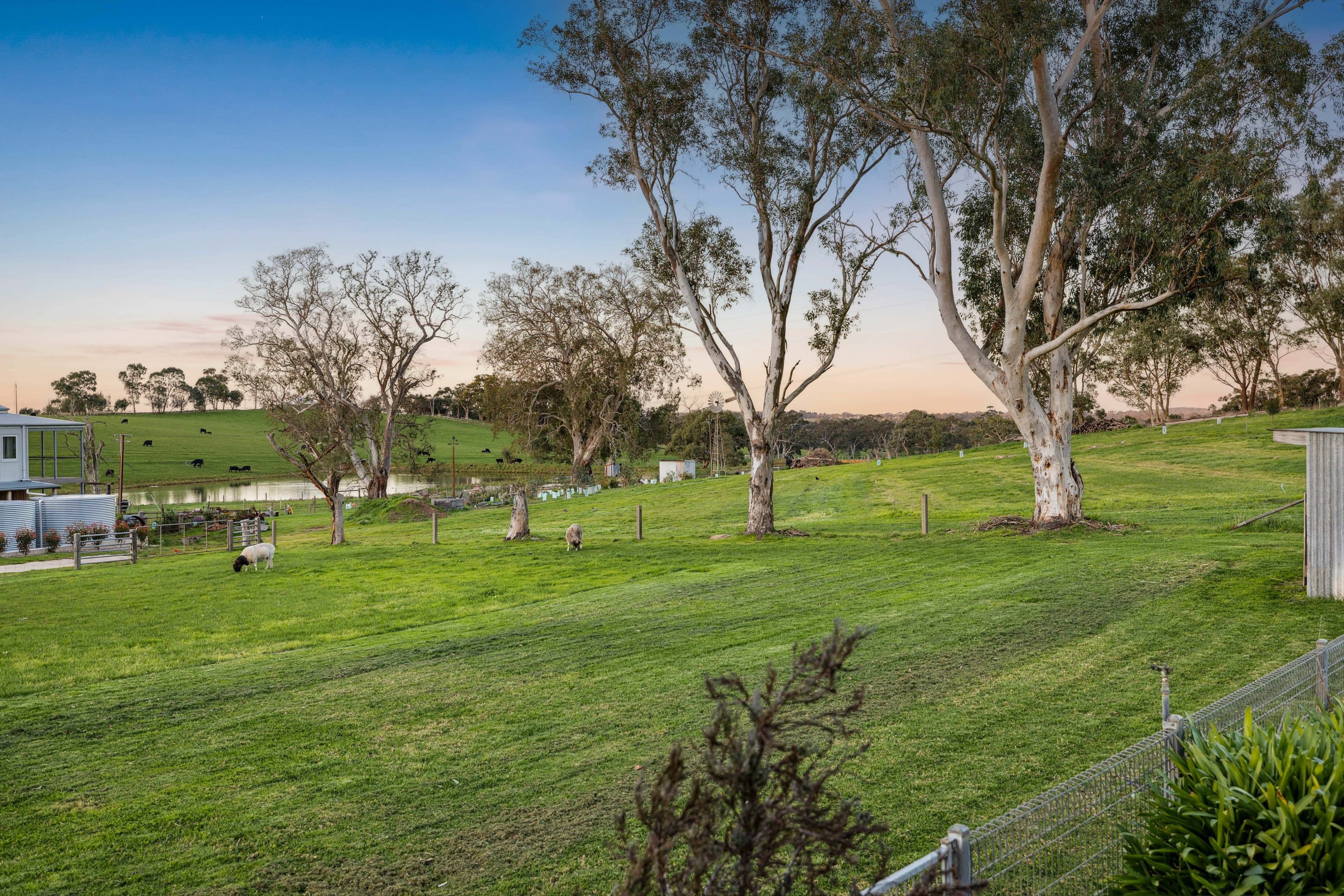 1779 Strathalbyn Road, Flaxley SA 5153, Flaxley - Thumbnail 6