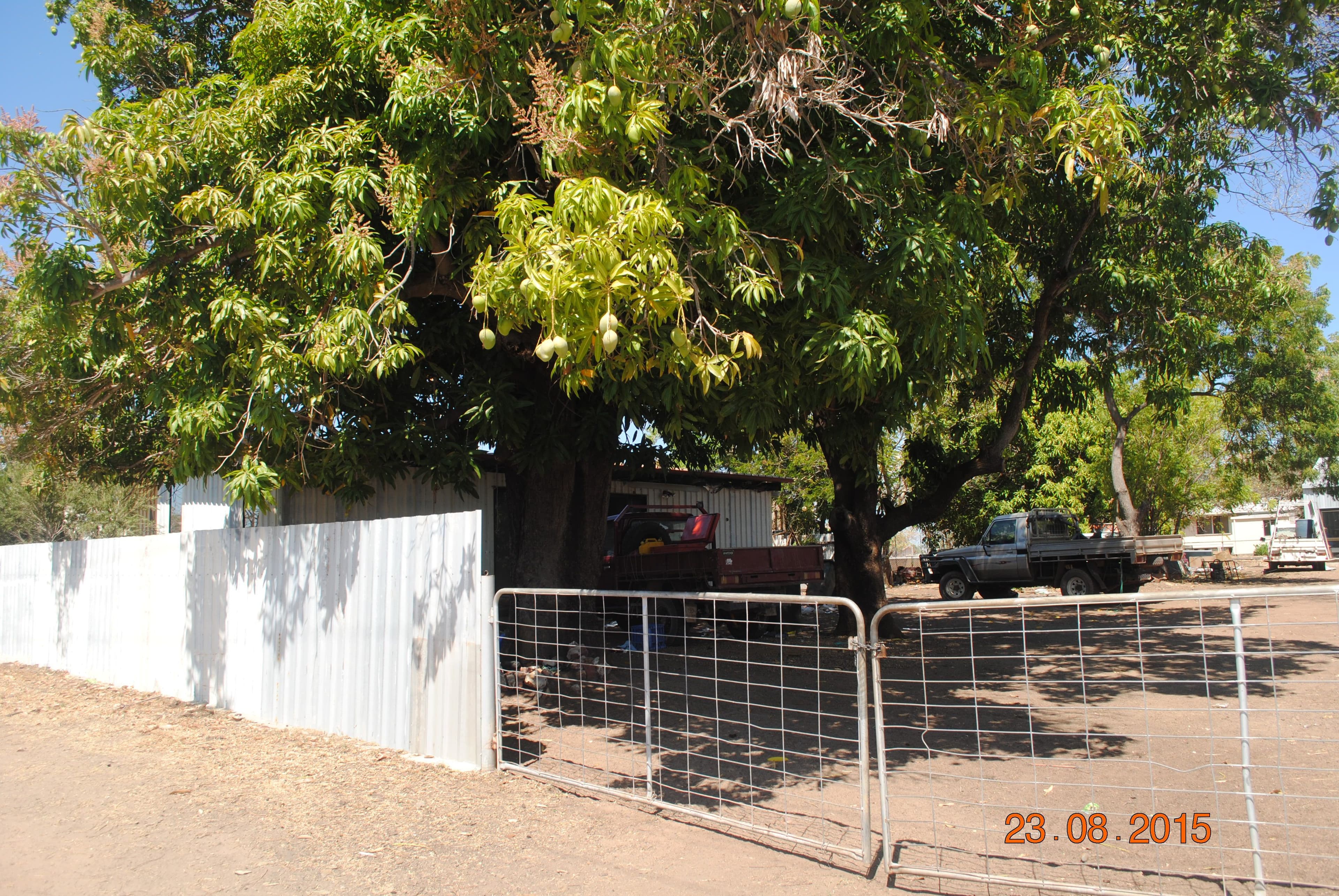 20 Woodward Street, Normanton QLD 4890, Normanton - Thumbnail 2