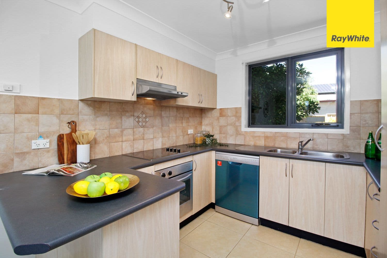 1 McCoy Street, Toongabbie NSW 2146, Toongabbie - Thumbnail 3
