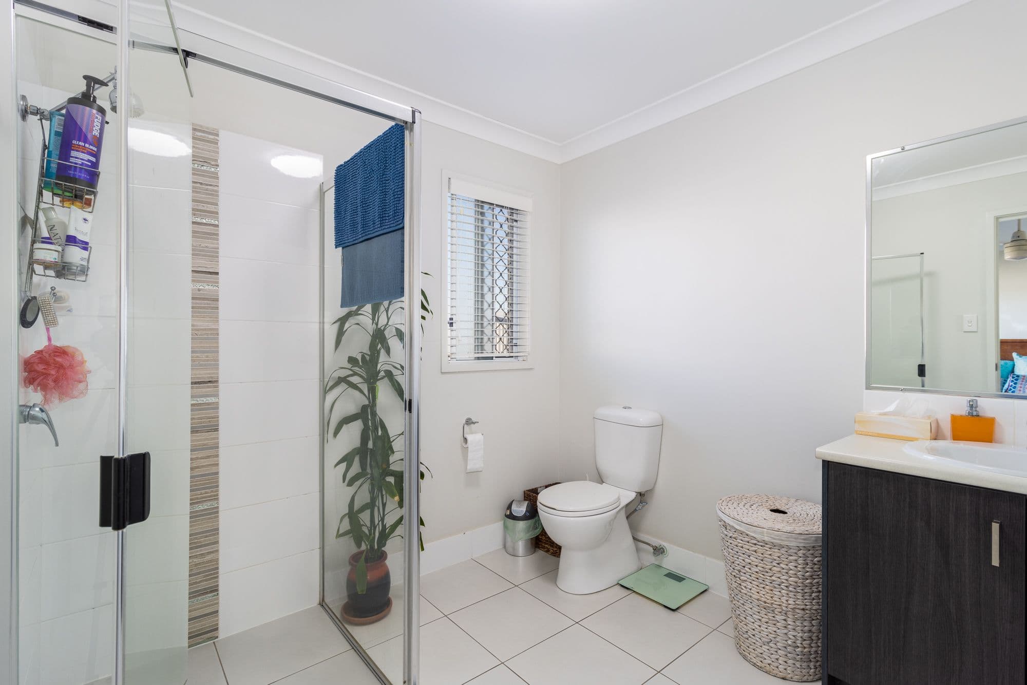 19 Morgan Circuit, Urraween QLD 4655, Urraween - Thumbnail 7