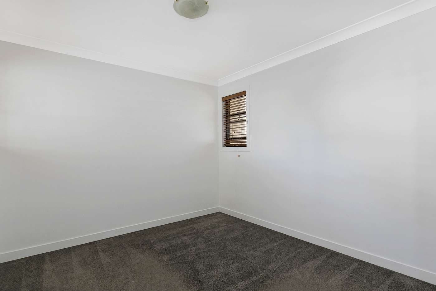 310 Hawthorne Road, Hawthorne QLD 4171, Hawthorne - Thumbnail 7