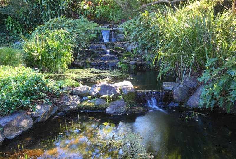 12 Cedarvale Road, Boambee, Boambee - Thumbnail 8