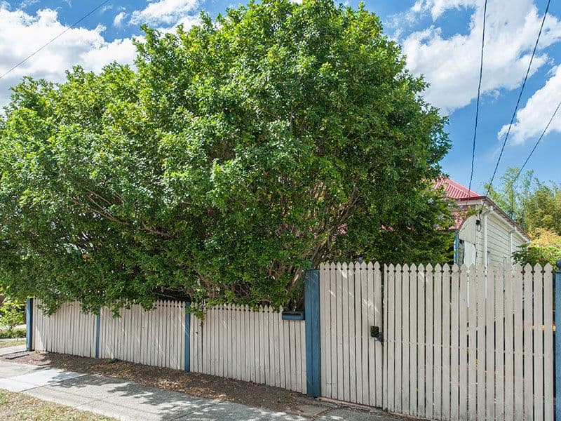 6 Mark Street, NEW FARM QLD 4005, New Farm - Thumbnail 2