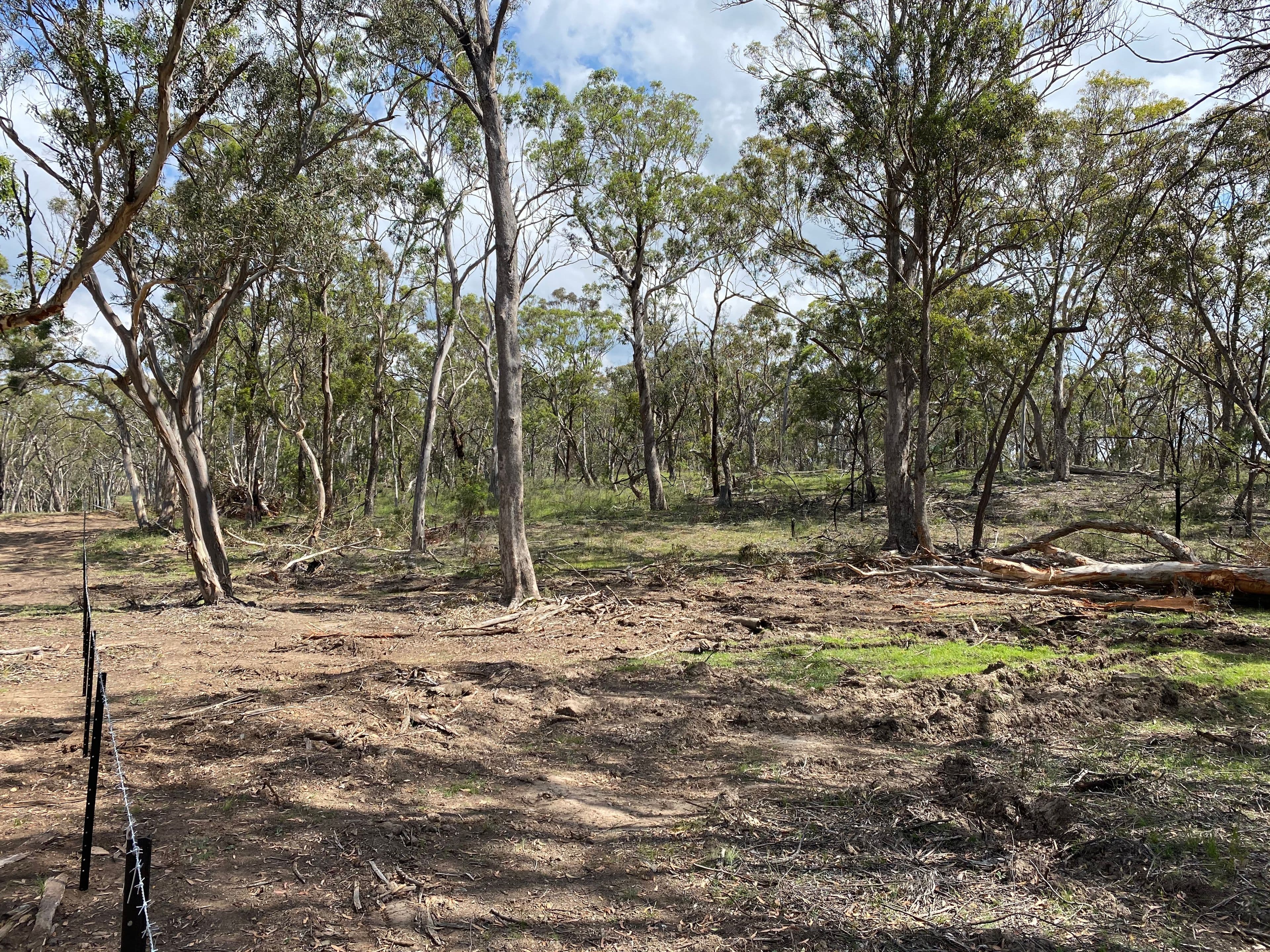 Lot 220, 201 Glynmar Road, Marulan NSW 2579, Marulan - Thumbnail 5