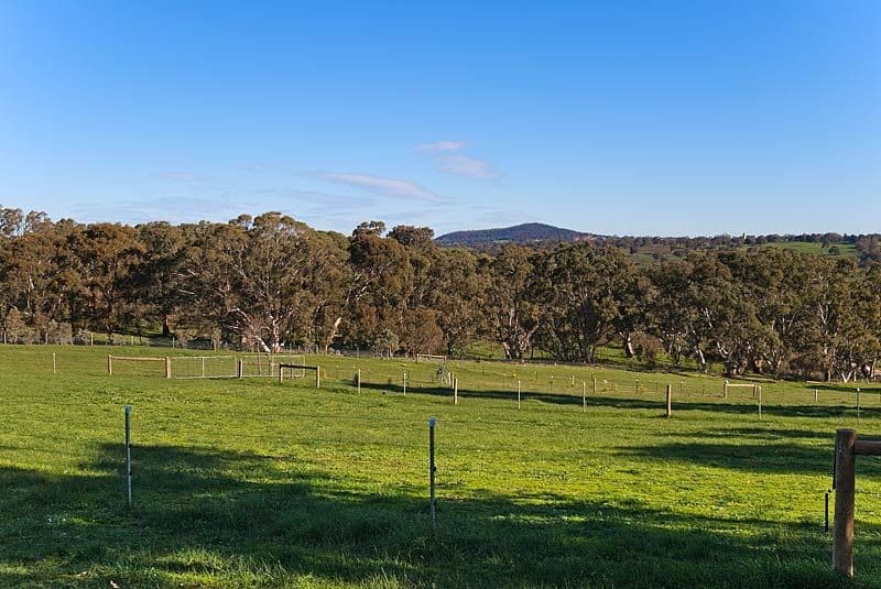 Lot 4 Harrogate Road, DAWESLEY SA 5252, Dawesley - Thumbnail 4