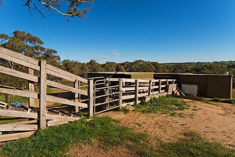 Lot 4 Harrogate Road, DAWESLEY SA 5252, Dawesley - Thumbnail 5