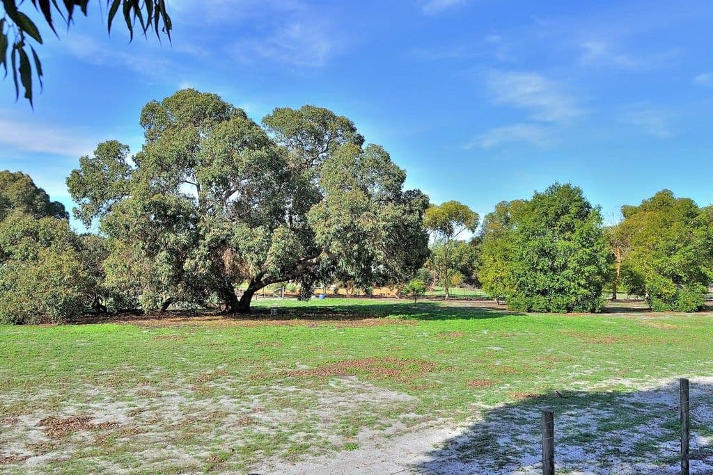 30 Ayrshire Loop, Lower Chittering WA 6084, Lower Chittering - Thumbnail 2